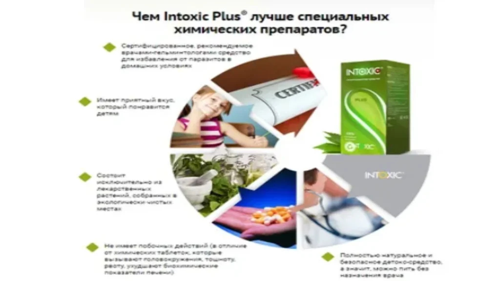 Detoxin - цена - България - къде да купя - състав - мнения - коментари - отзиви - производител - в аптеките